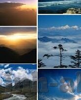 在澳门赌场换钱黄牛-澳门赌场换钱黄牛，灰色地带的隐秘交易